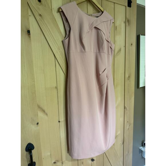 Adrianna Papell | Light Pink Sleeveless Side Ruched Sheath Dress | Size 12 - Picture 4 of 14
